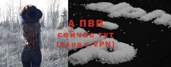 дмт Богородск