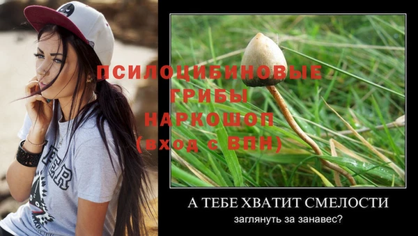 дмт Богородск