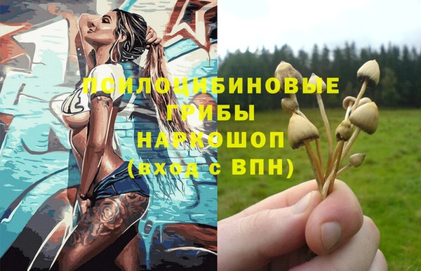 ALPHA-PVP Богородицк