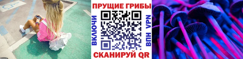 Купить закладки  Балтийск  Галлюциногенные грибы прущие грибы 